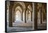 The 48 carved column prayer hall, Masjed-e Vakil (Regent's Mosque), Shiraz, Iran, Middle East-James Strachan-Framed Stretched Canvas