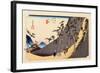 The 53 Stations of the Tokaido, Station 25: Nissaka-shuku, Shizuoka Prefecture-Ando Hiroshige-Framed Giclee Print