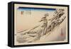 The 53 Stations of the Tokaido, Station 46: Kameyama-juku, Mie Prefecture-Ando Hiroshige-Framed Stretched Canvas