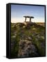 The 6,000 Year Old Poulnabrone Dolmen, the Burren, County Clare, Ireland-null-Framed Stretched Canvas