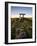 The 6,000 Year Old Poulnabrone Dolmen, the Burren, County Clare, Ireland-null-Framed Photographic Print