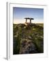 The 6,000 Year Old Poulnabrone Dolmen, the Burren, County Clare, Ireland-null-Framed Photographic Print