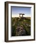 The 6,000 Year Old Poulnabrone Dolmen, the Burren, County Clare, Ireland-null-Framed Photographic Print