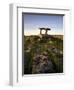 The 6,000 Year Old Poulnabrone Dolmen, the Burren, County Clare, Ireland-null-Framed Photographic Print