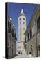 The 60 Metre Tall Bell Tower of the Cathedral of St. Nicholas the Pilgrim (San Nicola Pellegrino)-Stuart Forster-Stretched Canvas