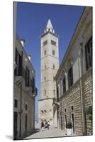 The 60 Metre Tall Bell Tower of the Cathedral of St. Nicholas the Pilgrim (San Nicola Pellegrino)-Stuart Forster-Mounted Photographic Print