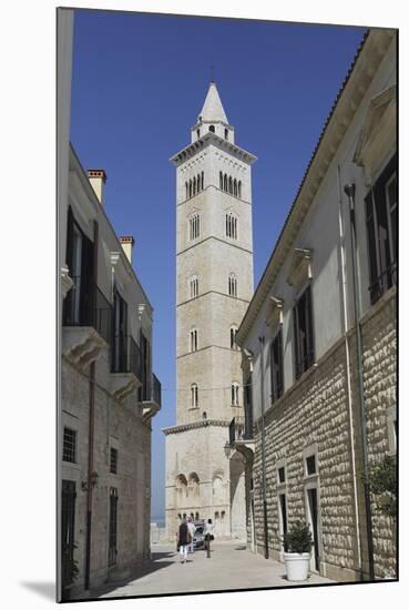 The 60 Metre Tall Bell Tower of the Cathedral of St. Nicholas the Pilgrim (San Nicola Pellegrino)-Stuart Forster-Mounted Photographic Print