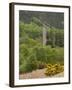 The 6th Century St. Kevin Monastery, Glendalough, County Wicklow, Leinster, Republic of Ireland-Sergio Pitamitz-Framed Photographic Print