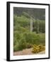 The 6th Century St. Kevin Monastery, Glendalough, County Wicklow, Leinster, Republic of Ireland-Sergio Pitamitz-Framed Photographic Print