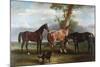 The 6th Duke's Favourite Hunters and Dogs, 1857-John E. Ferneley-Mounted Giclee Print