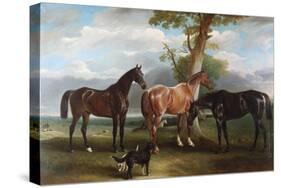 The 6th Duke's Favourite Hunters and Dogs, 1857-John E. Ferneley-Stretched Canvas