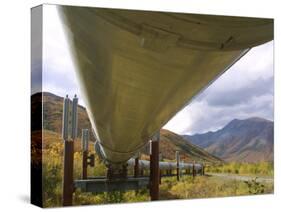 The 800-Mile Trans-Alaska Pipeline-null-Stretched Canvas