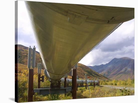 The 800-Mile Trans-Alaska Pipeline-null-Stretched Canvas