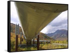 The 800-Mile Trans-Alaska Pipeline-null-Framed Stretched Canvas