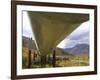 The 800-Mile Trans-Alaska Pipeline-null-Framed Premium Photographic Print