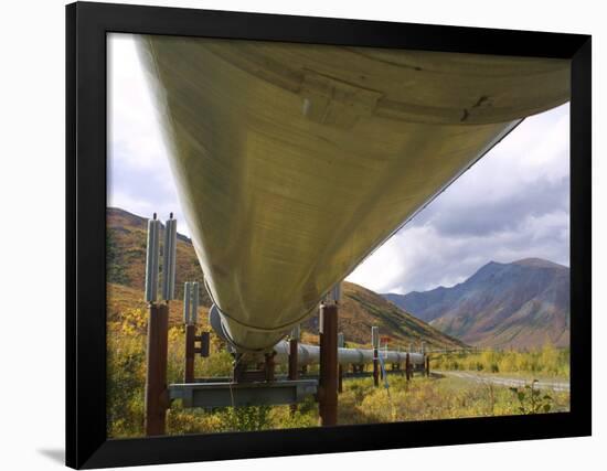 The 800-Mile Trans-Alaska Pipeline-null-Framed Premium Photographic Print