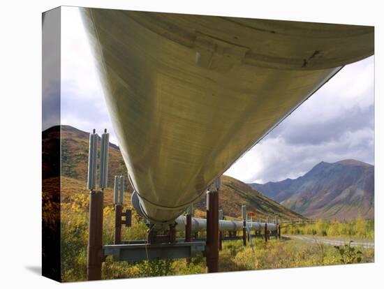 The 800-Mile Trans-Alaska Pipeline-null-Stretched Canvas