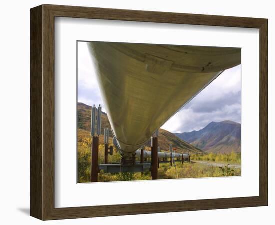 The 800-Mile Trans-Alaska Pipeline-null-Framed Photographic Print