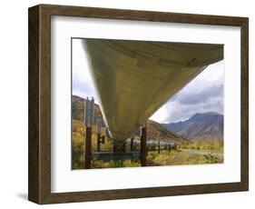 The 800-Mile Trans-Alaska Pipeline-null-Framed Photographic Print