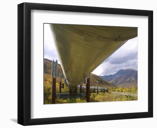 The 800-Mile Trans-Alaska Pipeline-null-Framed Photographic Print