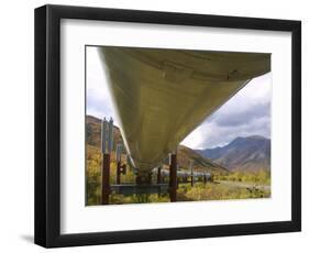 The 800-Mile Trans-Alaska Pipeline-null-Framed Photographic Print