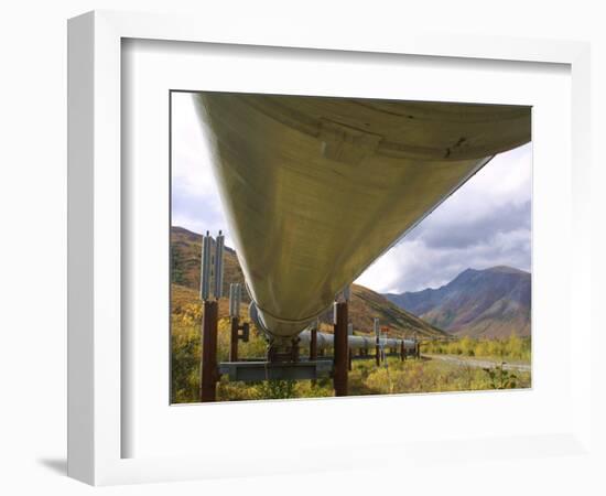 The 800-Mile Trans-Alaska Pipeline-null-Framed Photographic Print