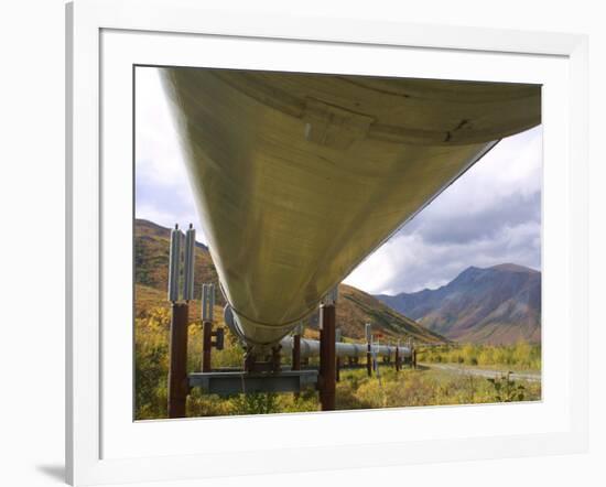 The 800-Mile Trans-Alaska Pipeline-null-Framed Photographic Print