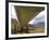 The 800-Mile Trans-Alaska Pipeline-null-Framed Photographic Print