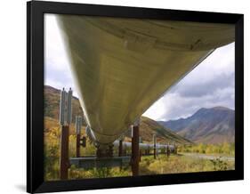 The 800-Mile Trans-Alaska Pipeline-null-Framed Photographic Print