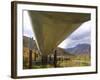 The 800-Mile Trans-Alaska Pipeline-null-Framed Photographic Print