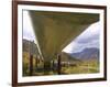 The 800-Mile Trans-Alaska Pipeline-null-Framed Photographic Print