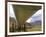 The 800-Mile Trans-Alaska Pipeline-null-Framed Photographic Print