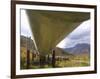 The 800-Mile Trans-Alaska Pipeline-null-Framed Photographic Print