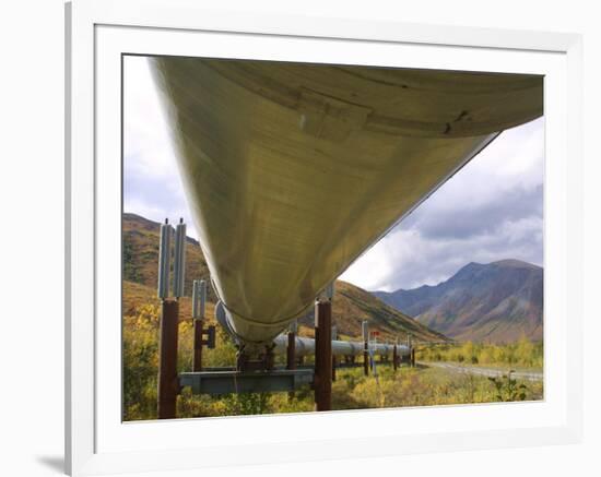 The 800-Mile Trans-Alaska Pipeline-null-Framed Photographic Print