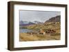 The Abandoned and Recently Restored Whaling Station at Grytviken-Michael Nolan-Framed Photographic Print