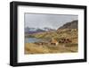 The Abandoned and Recently Restored Whaling Station at Grytviken-Michael Nolan-Framed Photographic Print