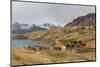 The Abandoned and Recently Restored Whaling Station at Grytviken-Michael Nolan-Mounted Photographic Print