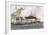The Abandoned Norwegian Whaling Station at Stromness Bay-Michael Nolan-Framed Photographic Print