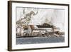 The Abandoned Norwegian Whaling Station at Stromness Bay-Michael Nolan-Framed Photographic Print