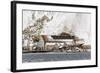 The Abandoned Norwegian Whaling Station at Stromness Bay-Michael Nolan-Framed Photographic Print