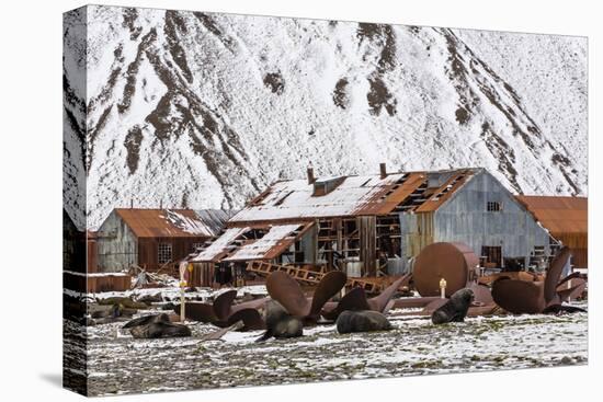 The Abandoned Norwegian Whaling Station at Stromness Bay-Michael Nolan-Stretched Canvas