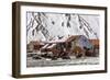 The Abandoned Norwegian Whaling Station at Stromness Bay-Michael Nolan-Framed Photographic Print