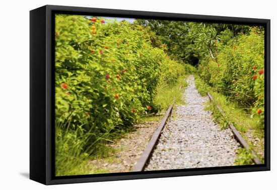 The Abandoned Railroad-david734244-Framed Stretched Canvas