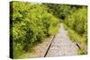 The Abandoned Railroad-david734244-Stretched Canvas