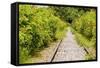 The Abandoned Railroad-david734244-Framed Stretched Canvas