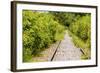 The Abandoned Railroad-david734244-Framed Photographic Print