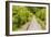 The Abandoned Railroad-david734244-Framed Photographic Print