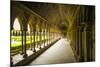 The abbey cloister, Mont Saint-Michel, Normandy, France-Russ Bishop-Mounted Photographic Print