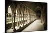 The abbey cloister, Mont Saint-Michel, Normandy, France-Russ Bishop-Mounted Photographic Print