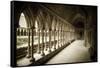 The abbey cloister, Mont Saint-Michel, Normandy, France-Russ Bishop-Framed Stretched Canvas